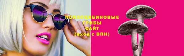 PSILOCYBIN Алексин
