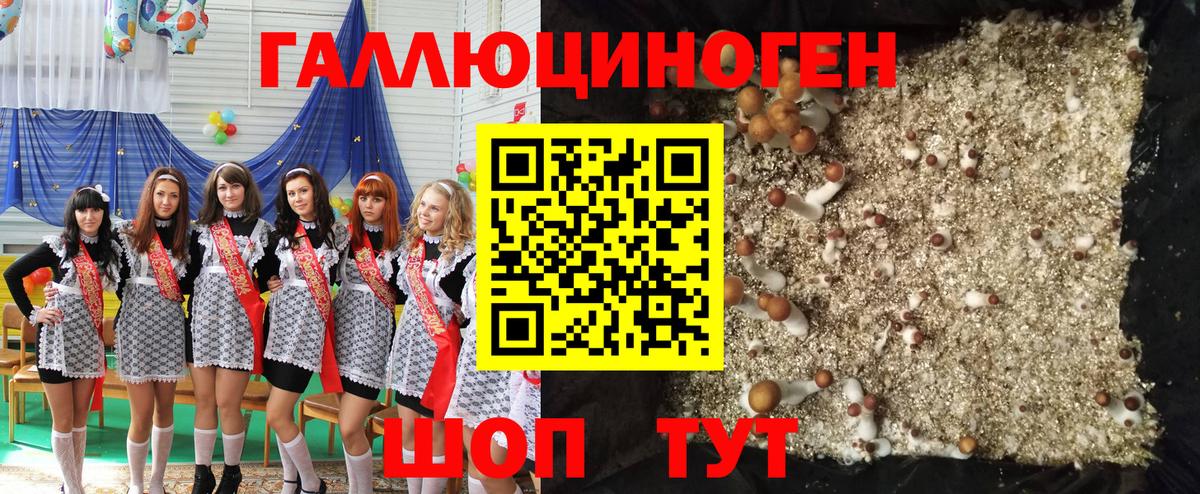Галлюциногенные грибы Cubensis  Псилоцибиновые грибы мицелий  Вход с VPN  Чайковский 